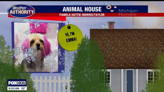 Welcome Marilyn, Emma,  Ace