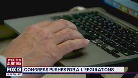 Congress pushes for AI regulations