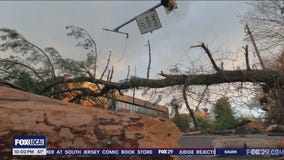 Severe weather takes down power lines, trees