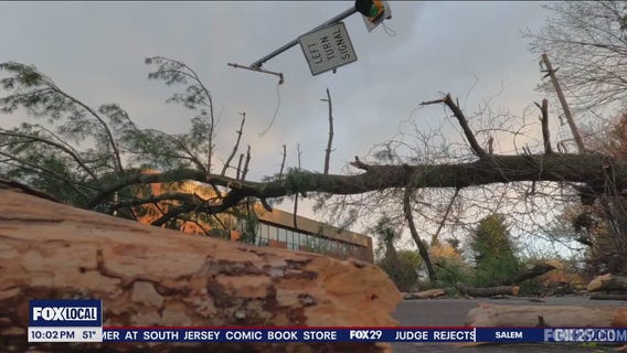 Severe weather takes down power lines, trees