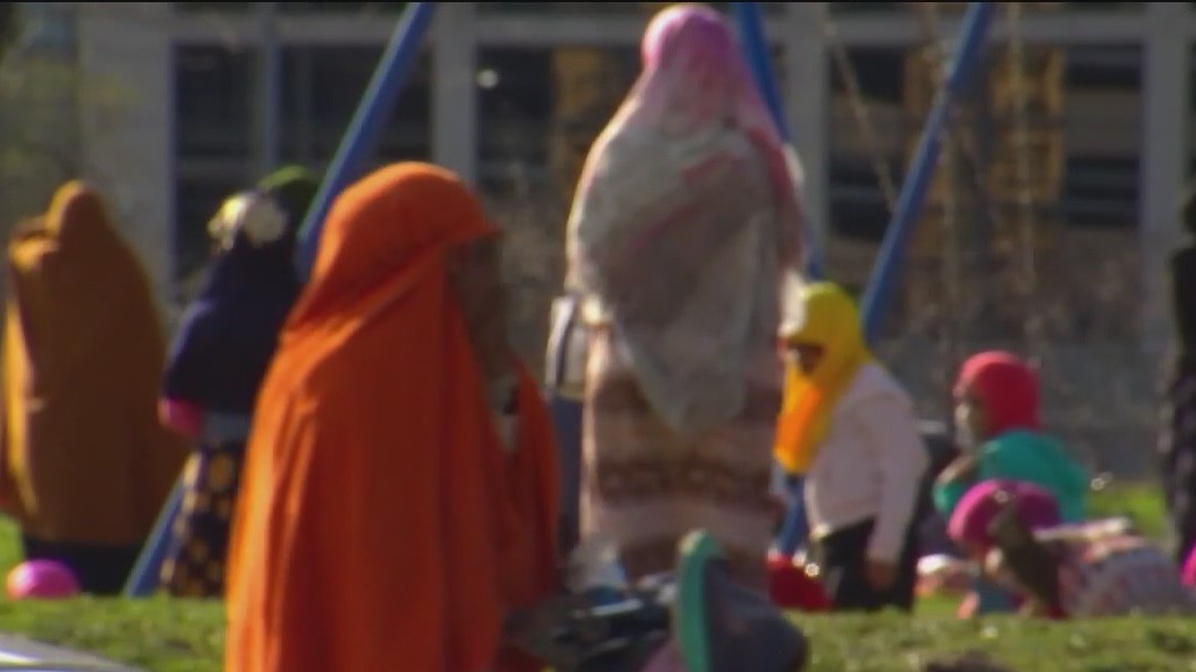 Somali community in Minnesota: History examined