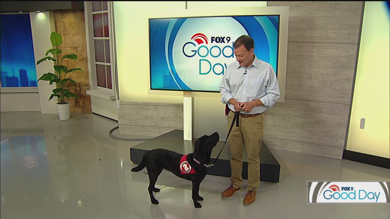 FOX 9 Good Day: Aug. 15, 2025