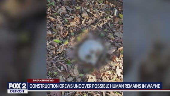 Suspected human skull found in Wayne by survey crew
