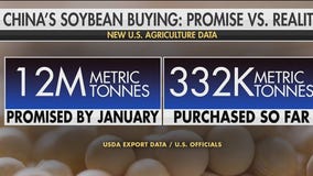 USDA report shows China slow to buy soybeans