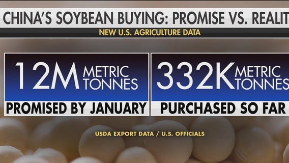 USDA report shows China slow to buy soybeans