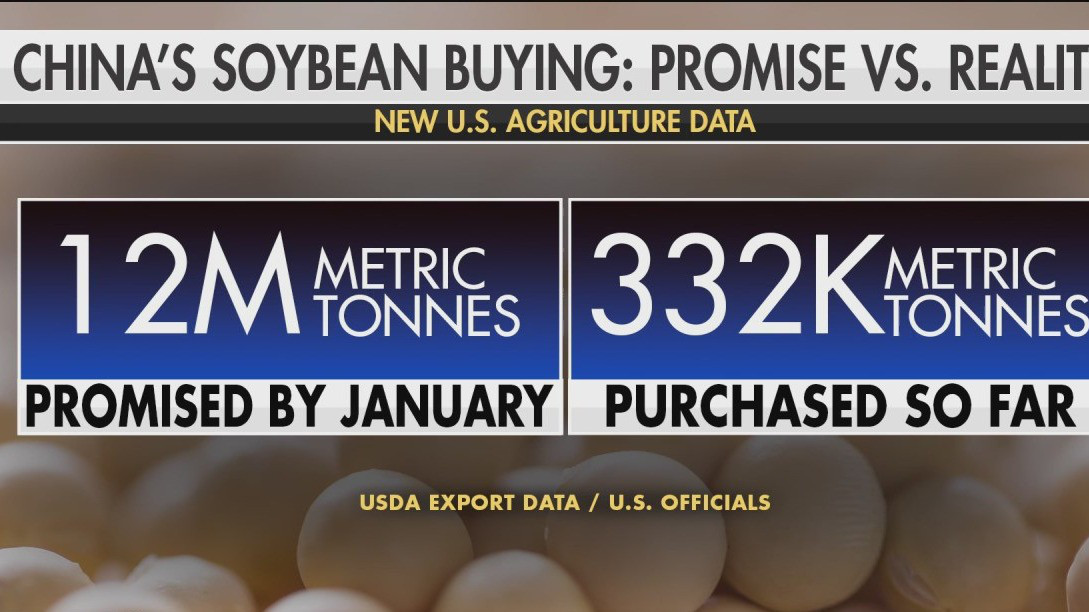 USDA report shows China slow to buy soybeans