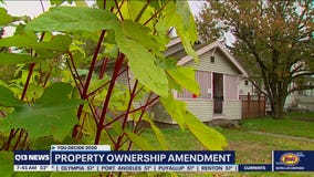 What's on the ballot in South King County