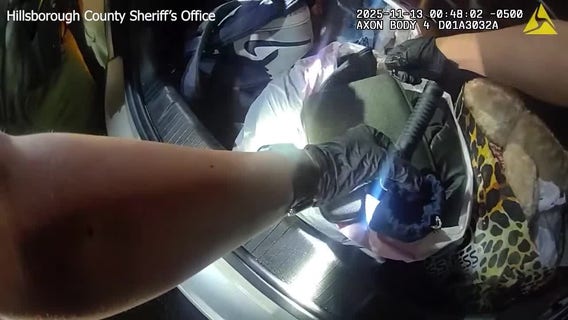 Deputies: Tampa felon pulled over for suspended license found with fentanyl, meth, cocaine