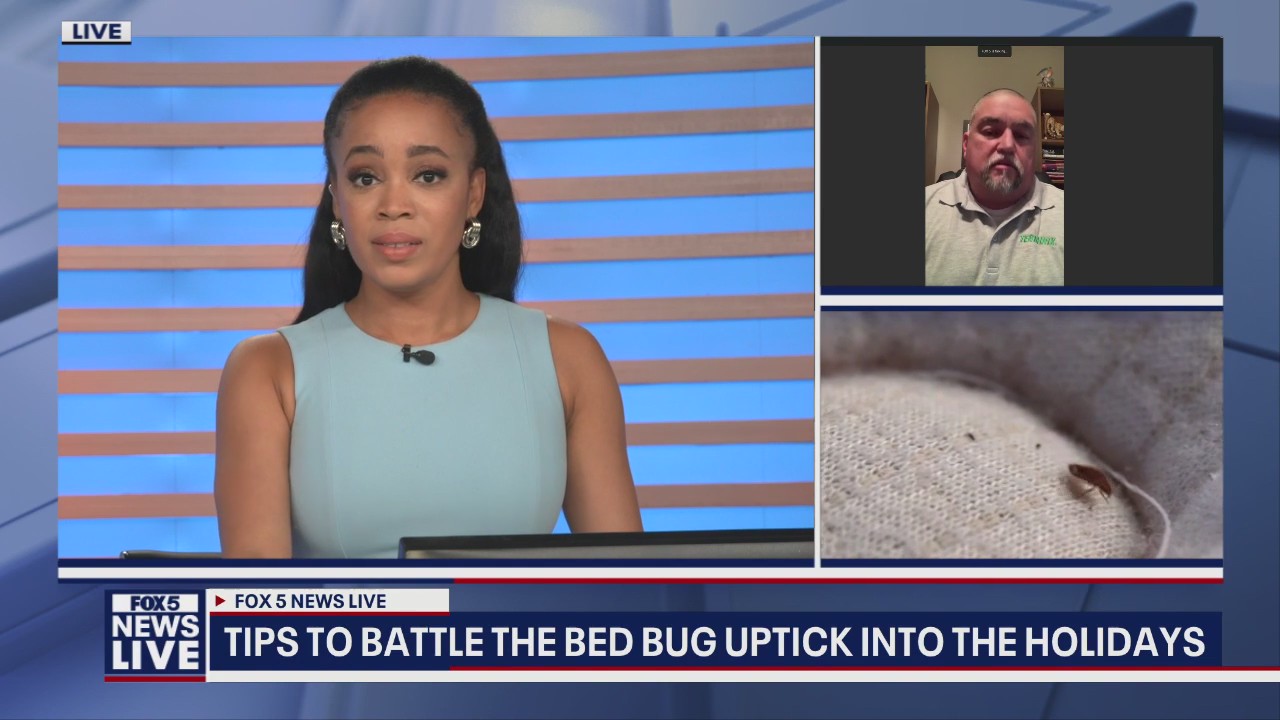 Atlanta sees an uptick of bed bugs