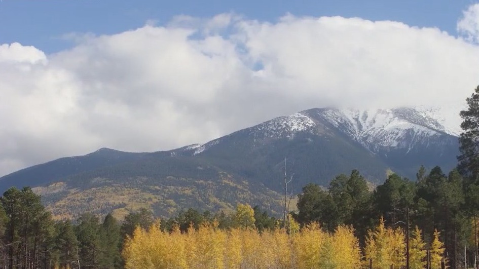 Fall foliage emerges in Flagstaff