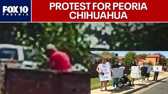 Protesters ask for justice in Peoria chihuahua beating