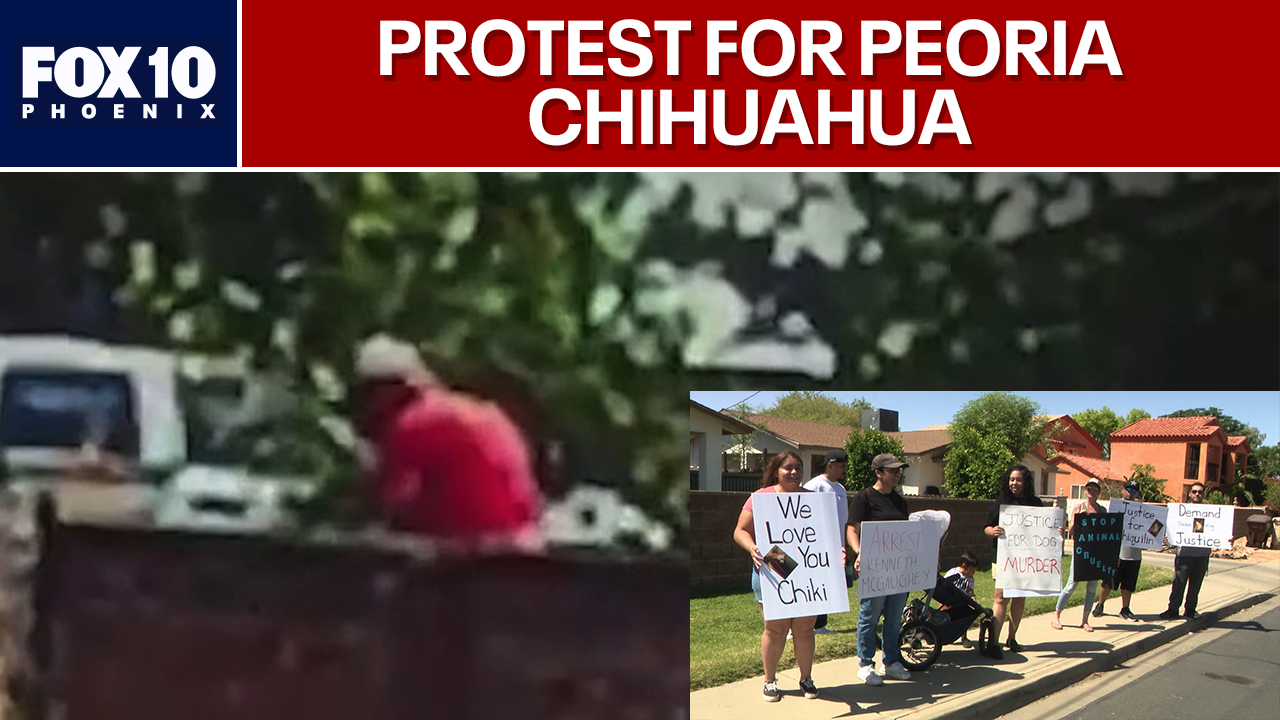 Protesters ask for justice in Peoria chihuahua beating
