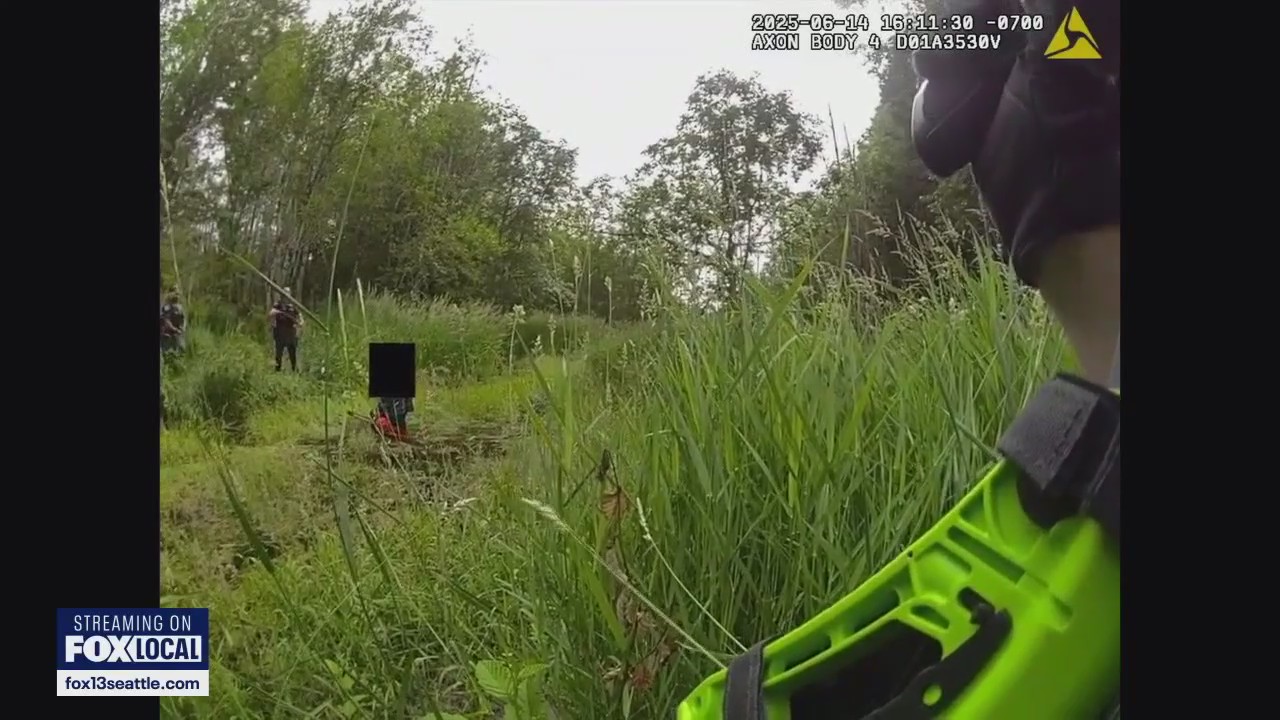 Deputies lasso chainsaw suspect from pond