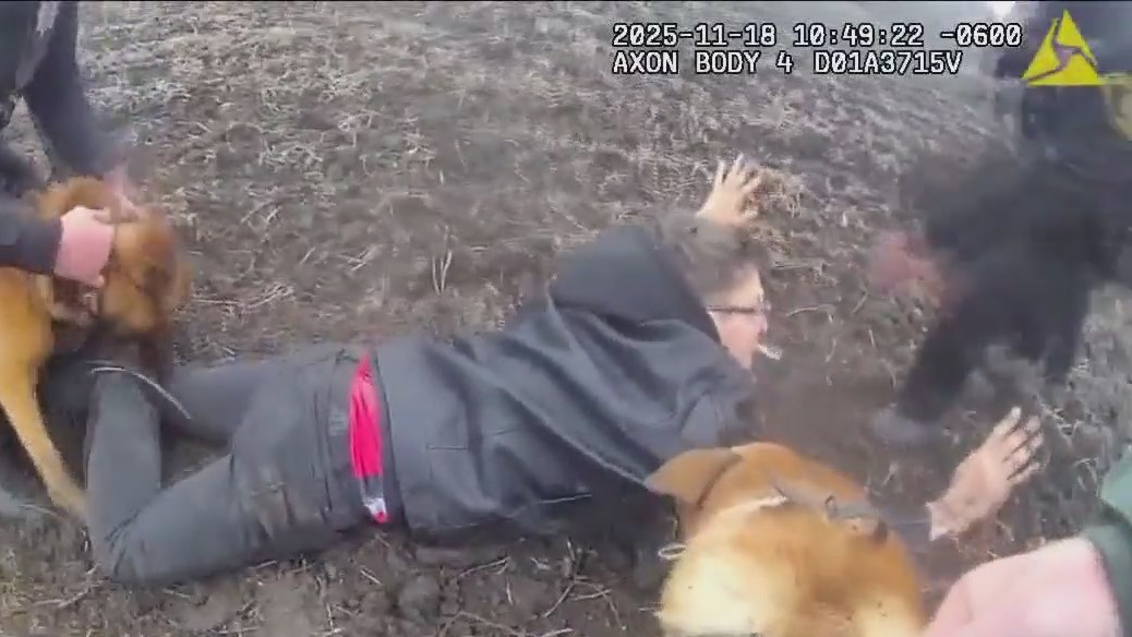 Shots fired suspect arrested after pursuit