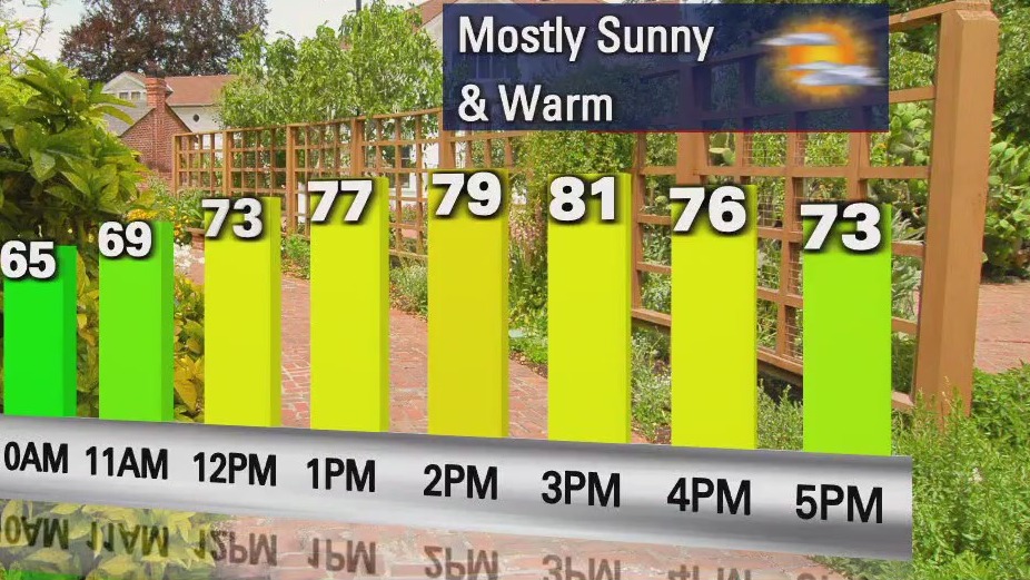 Sunny, cooler Friday