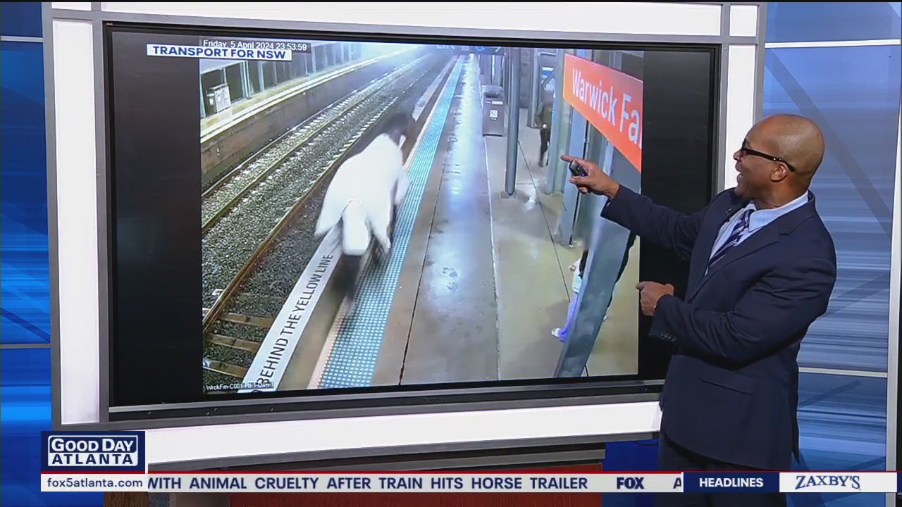 Escaped racehorse runs wild in train station