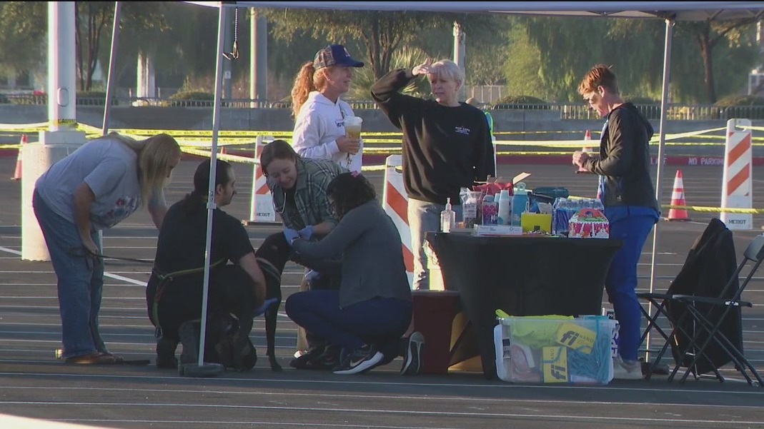 Drive-thru pet care event saw dogs micro-chipped, vaccinated