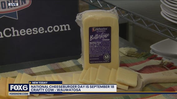 Checking out some of the best cheese Wisconsin has to offer