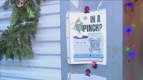 Fresh trees and wreaths