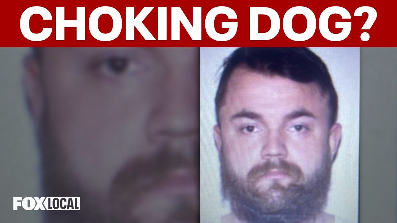 Animal control officer charged after choking small elderly terrier in Culpeper, dog euthanized: police