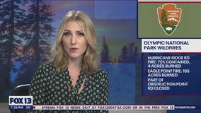 Olympic National Park wildfires