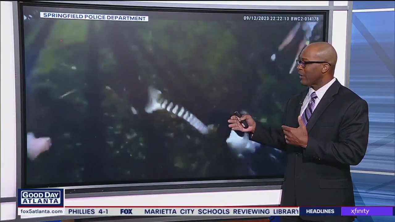 Loose lemur leads police on wild chase