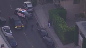 LAPD investigating Hollywood Hills burglary