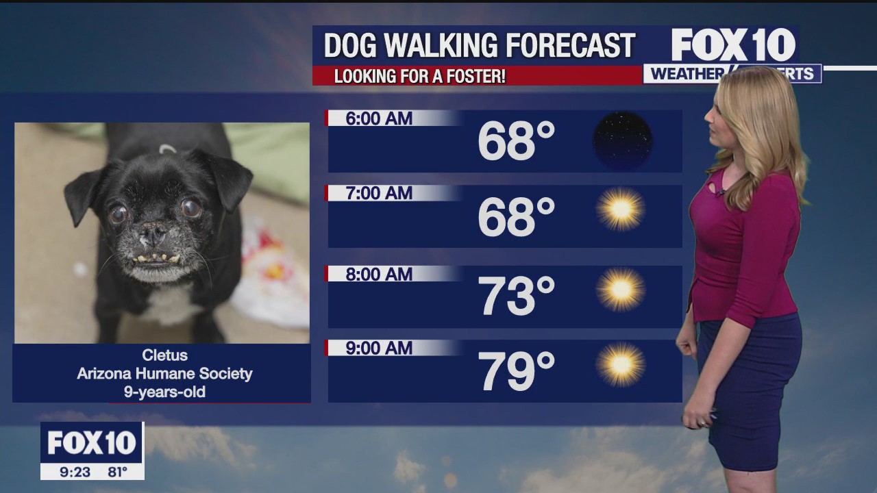 Weekend Weather Forecast