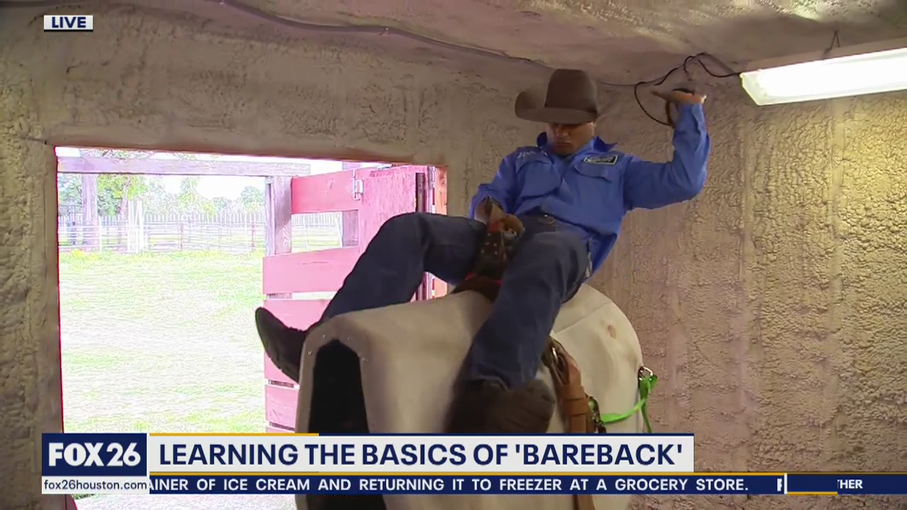 Learning the basics of 'bareback' riding