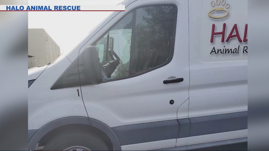 Arizona animal rescue raising money to repair vandalized van