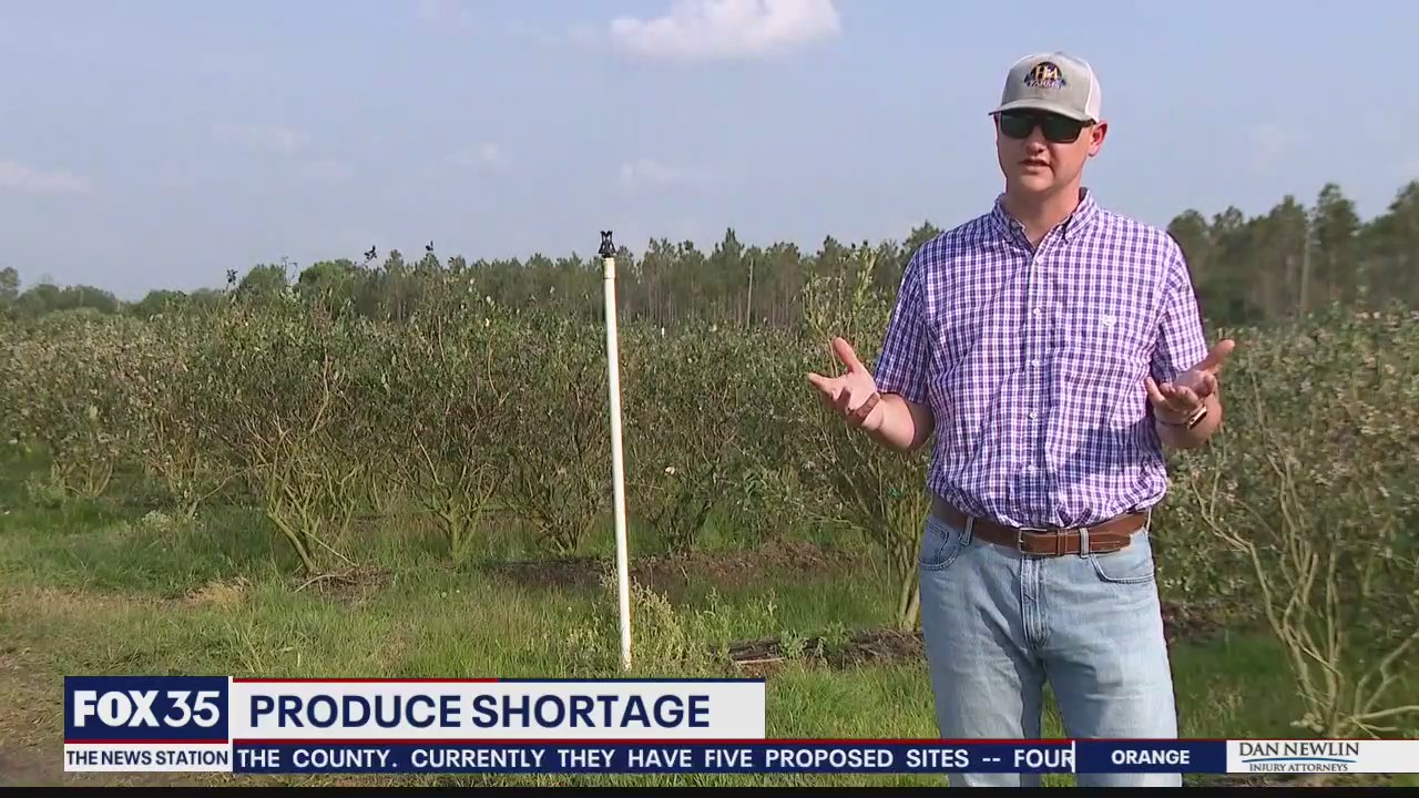 Produce shortage drives shoppers straight to farmers