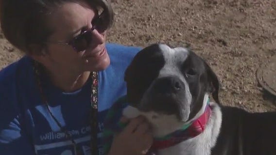 Pet of the Weekend: Meet Dexter