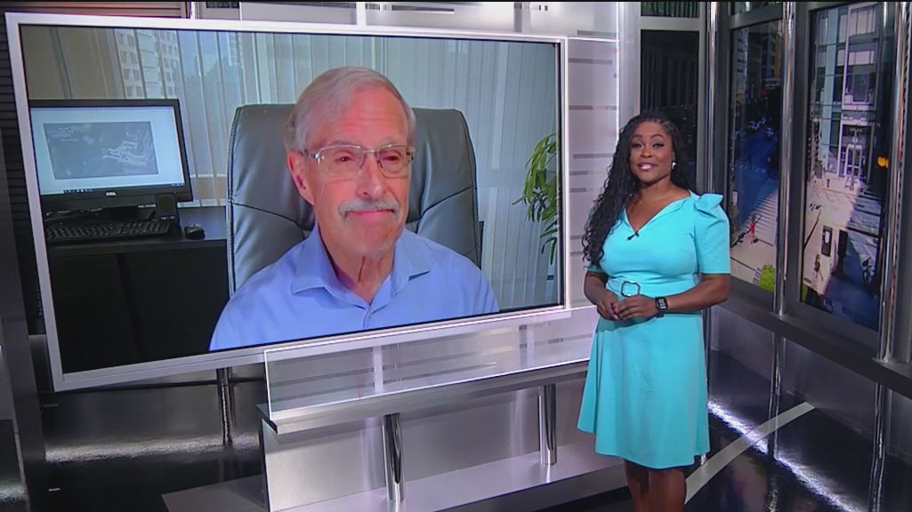 Author shares tips on how to spot and stop adult bullies