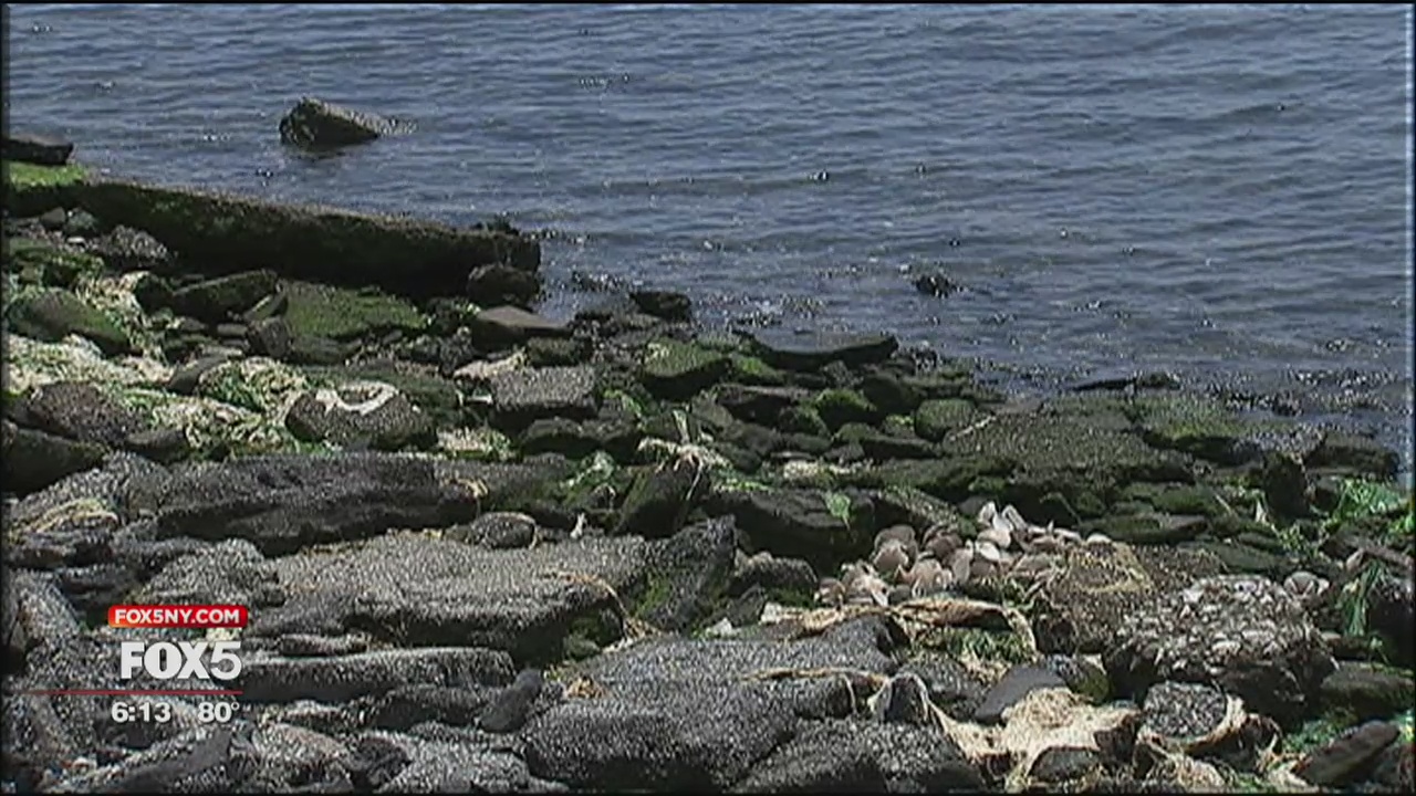 Back-bay flooding risks