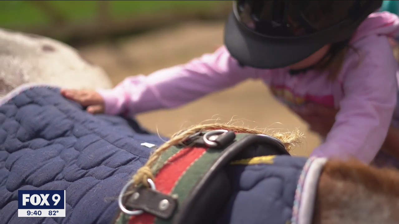 Minnesota horse therapy center helping children with special needs looks to add year-round services