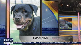 FurEver Home: August 14, 2022