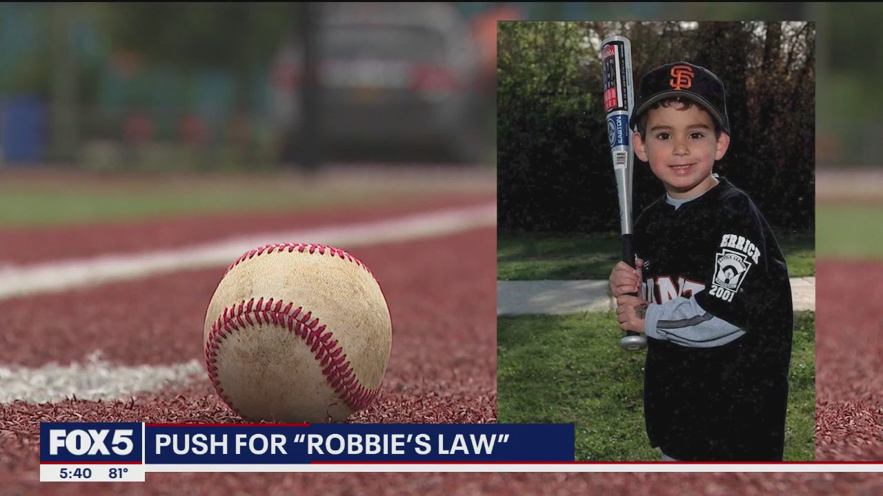 Family launches foundation to put AEDs on every baseball field