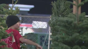 Boy Scout Christmas tree lot remains tradition for 75 years