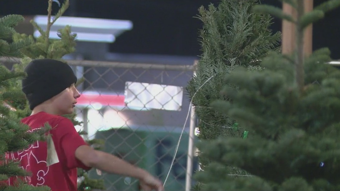 Boy Scout Christmas tree lot remains tradition for 75 years