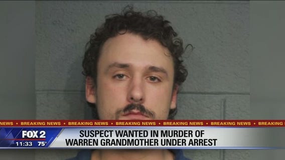 Warren murder suspect Anthony Iannotti arrested in Shelby Twp