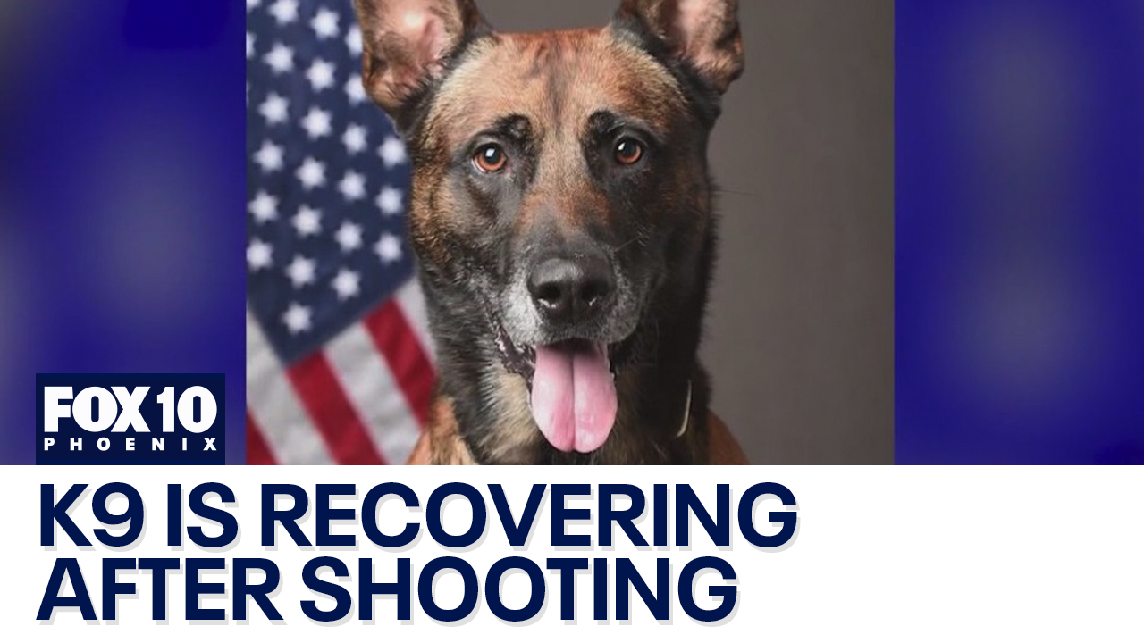 Scottsdale K9 released from vet after shooting