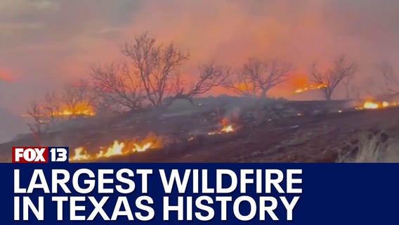 Largest wildfire in Texas history