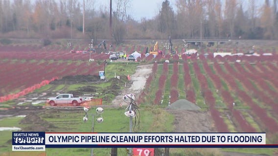 Flooding halts Olympic pipeline leak cleanup in Skagit County, WA