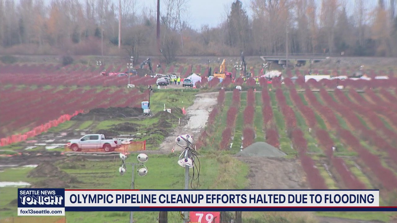 Flooding halts Olympic pipeline leak cleanup in Skagit County, WA