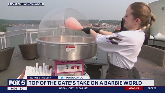 Top of the Gate celebrates everything Barbie