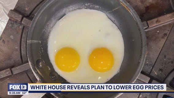 White House reveals plan to lower egg prices in the US