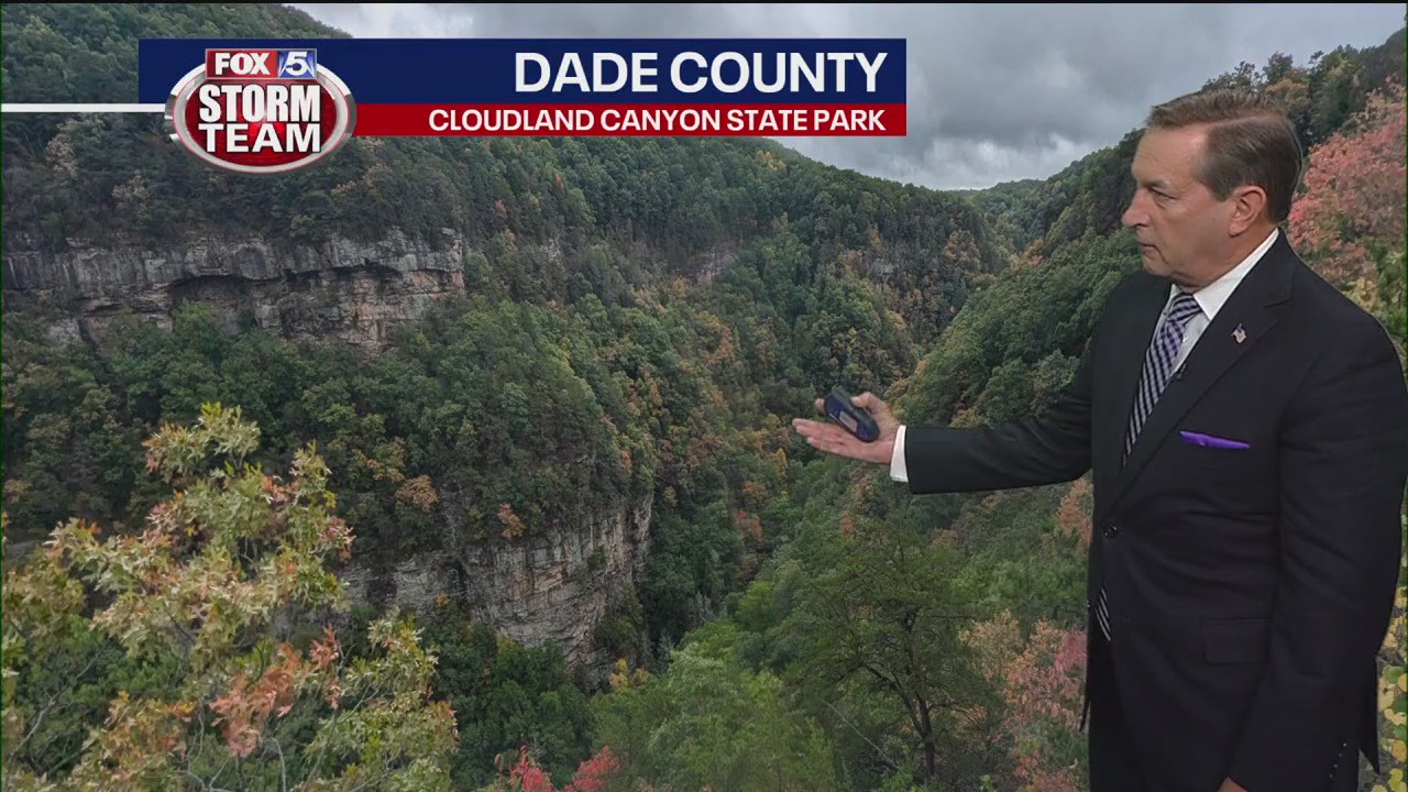 Leaf Watch | Oct. 10, 2024