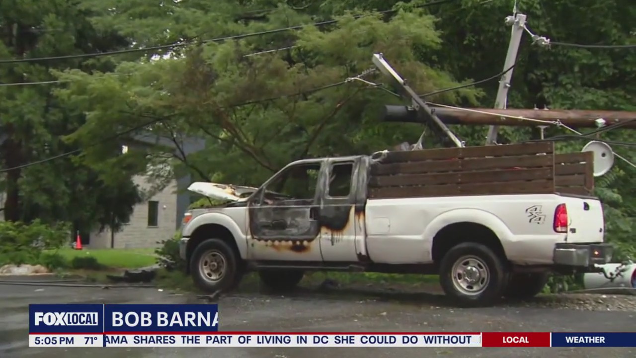 Trees down across Maryland amid severe storms | FOX 5 DC