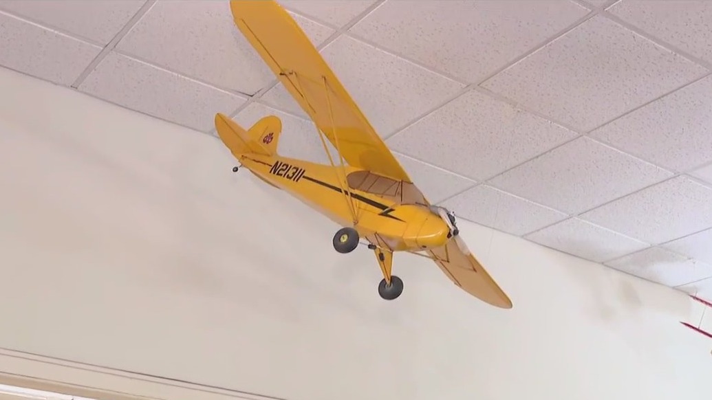 Free flight to see what real pilots do