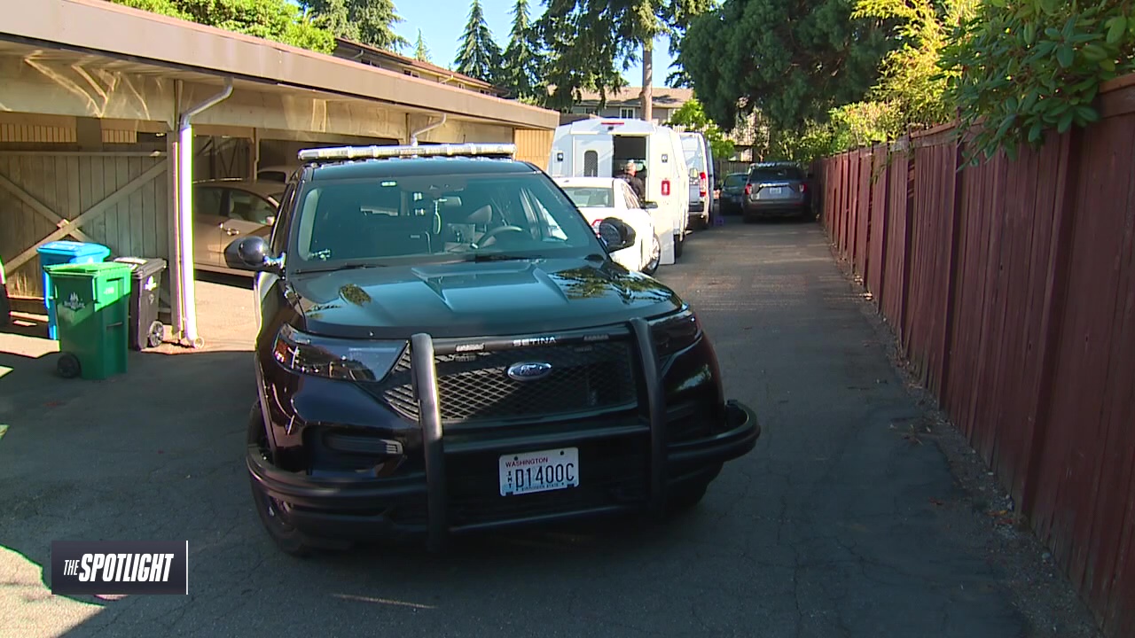 The Spotlight: Domestic violence crackdown